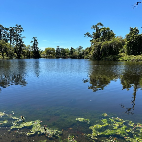 Meet your Posher! - Picture 1 of 1